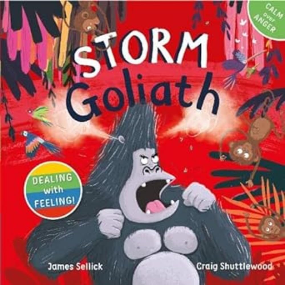 Storm Goliath: 1 (Dealing with Feeling) cover image